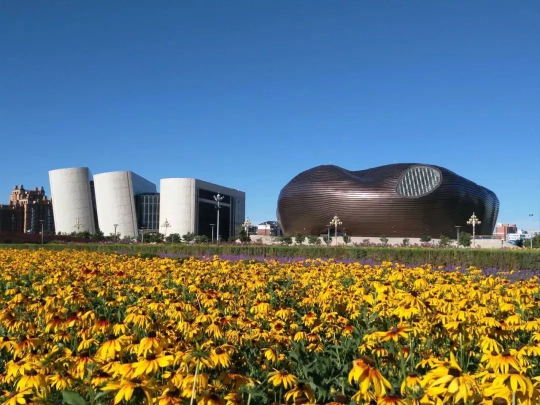 鄂尔多斯发展深度解析,探寻繁荣背后的力量与机遇